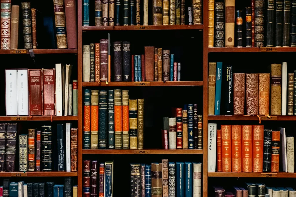 Library shelves full of books